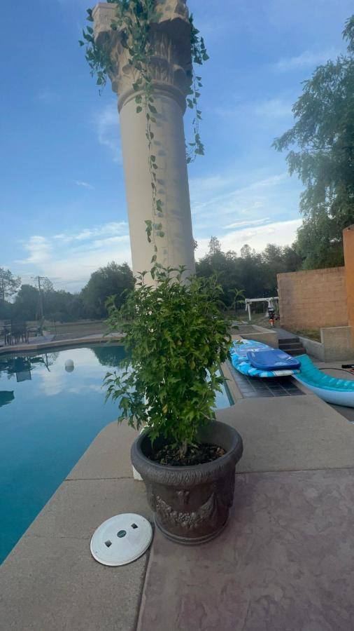 Appartamento The Oasis Redding Esterno foto